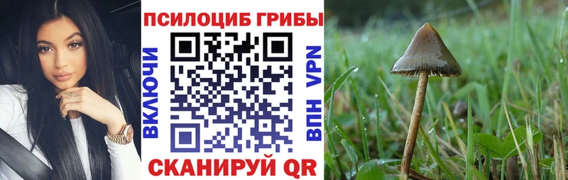 Галлюциногенные грибы MAGIC MUSHROOMS  Пустошка 